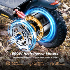 iScooter iX4 Electric Scooter 800W 15Ah Powerful Electric Kick Scooter Anti-skid Off-road Tire  45km Range eScooter 45km/h Speed
