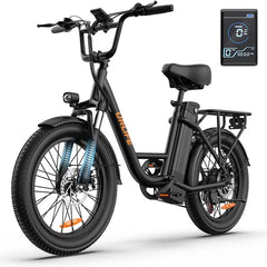 URLIFE E20 Electric Bike For Adults 250W Motor Electric Bike 48V 13AH 20 Inch Tires City Commuter E Bike